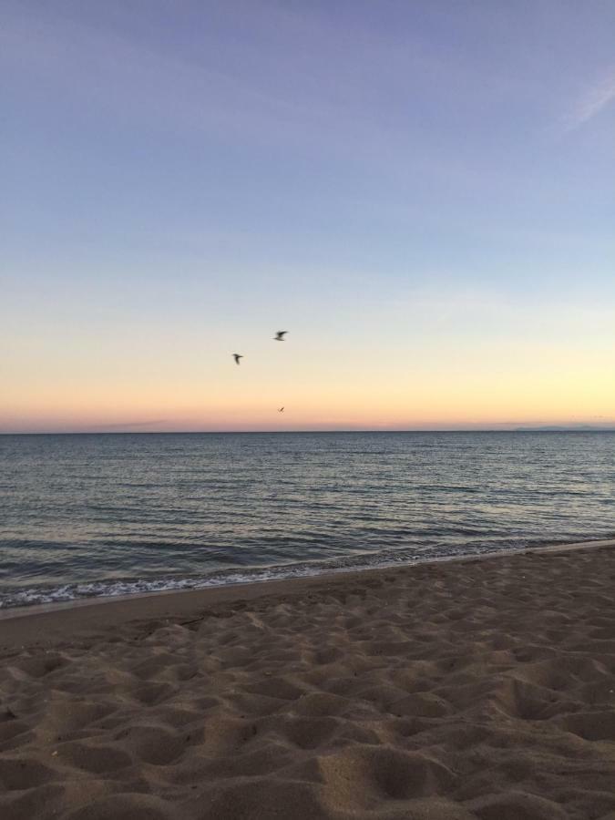 Jm Vacances Sérignan 외부 사진